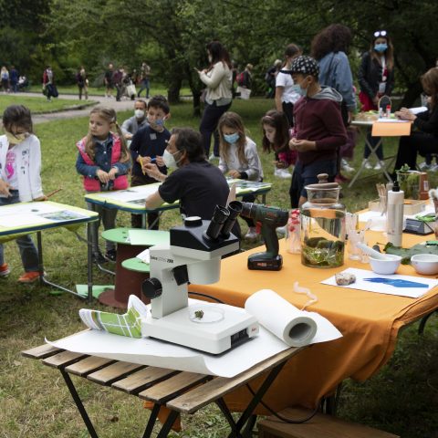 laboratori bambini