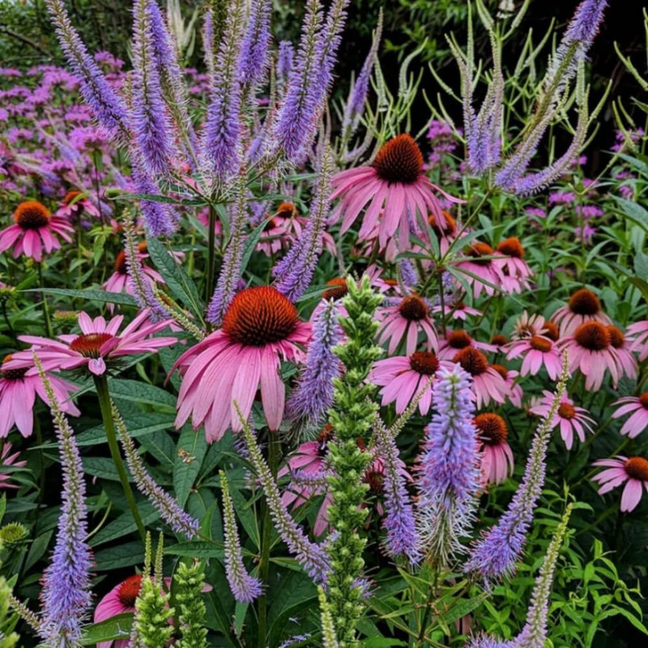 11 cottage garden