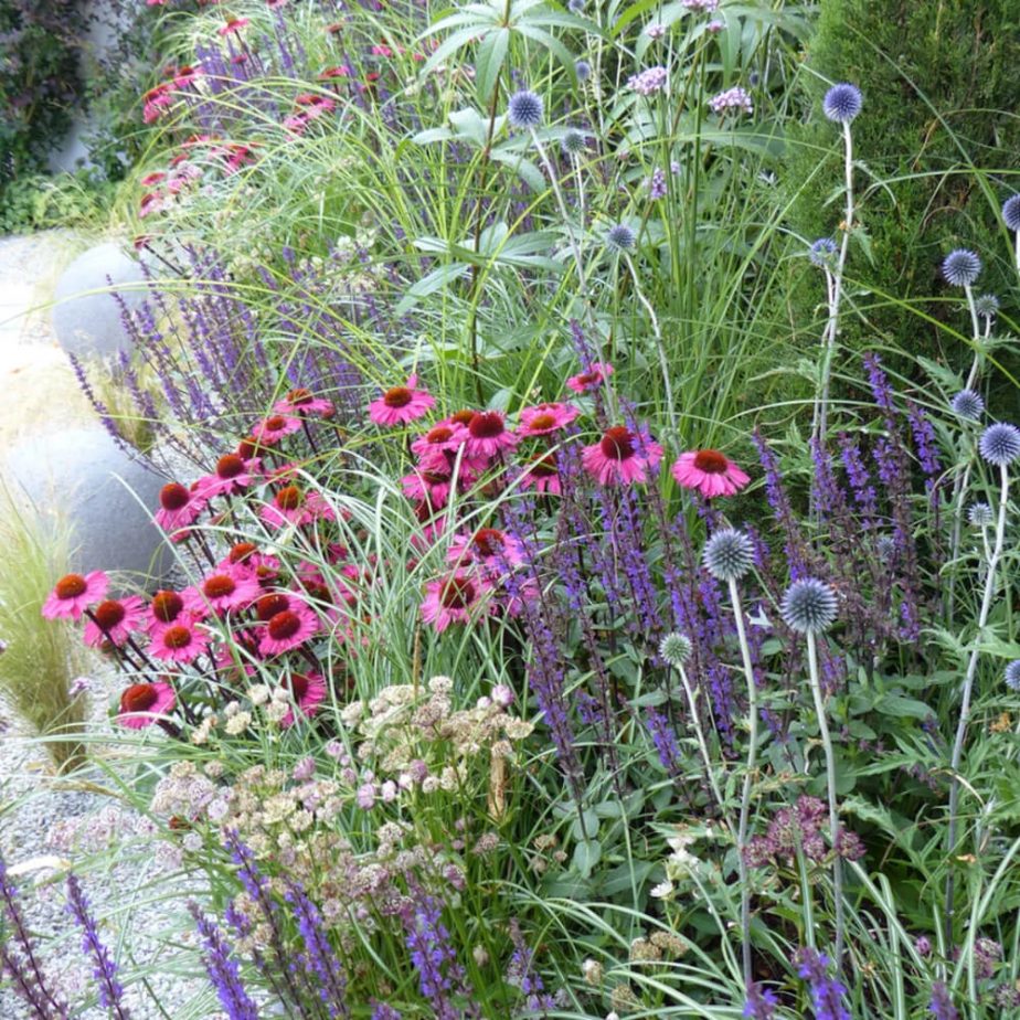 4. giardino per gli impollinatori