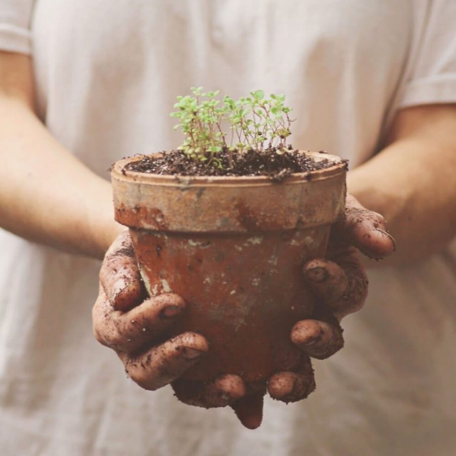 6 Slow gardening, a gardening revolution