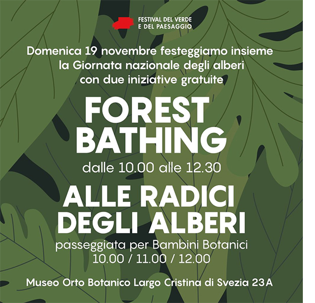 Forest Bathing e Passeggiate per Bambini Botanici - Scuola del